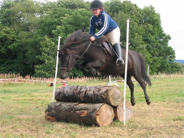 Miniature Ponies Jumping